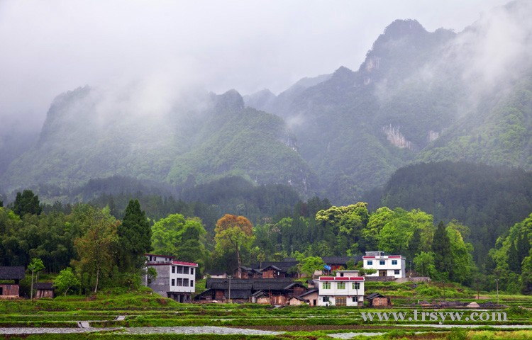 美丽民和