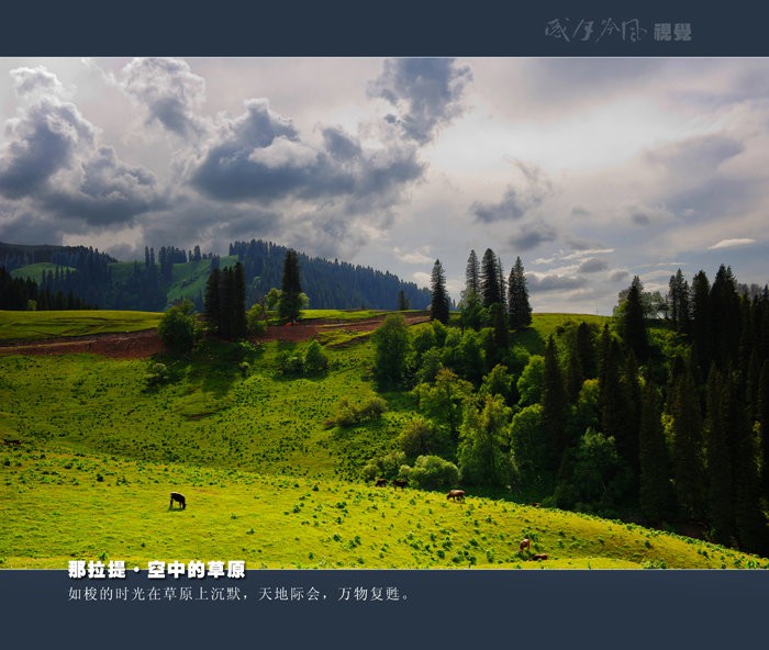空中的草原