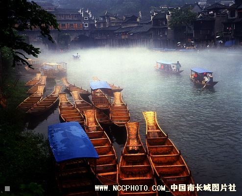 晨