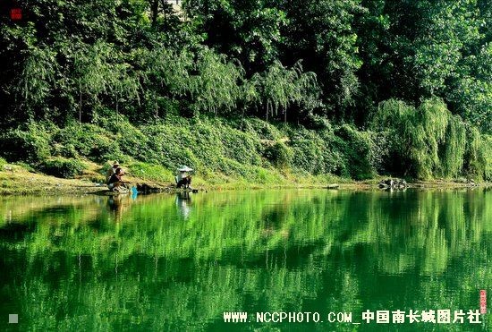 锦江风情之四