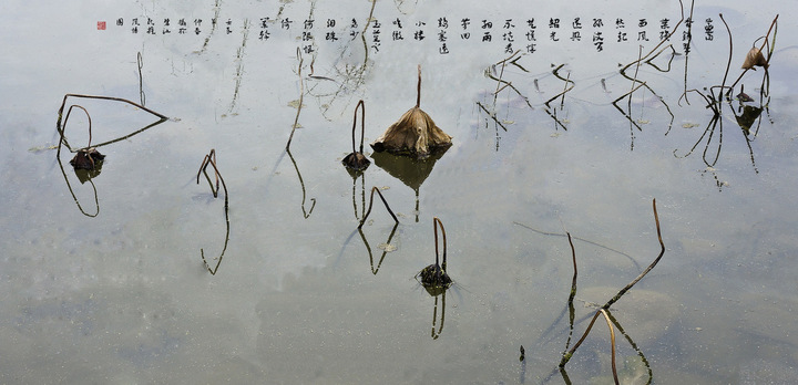 残荷鹤舞