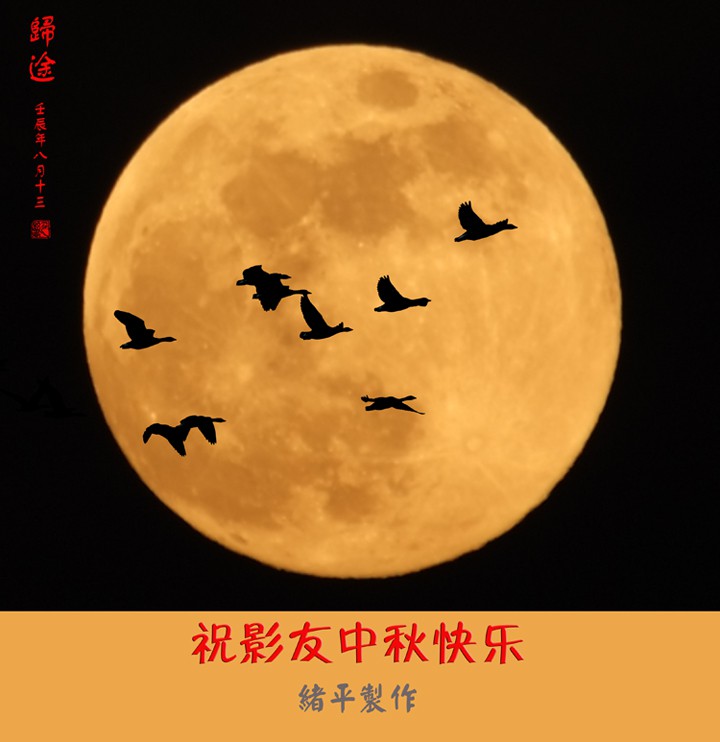 归途