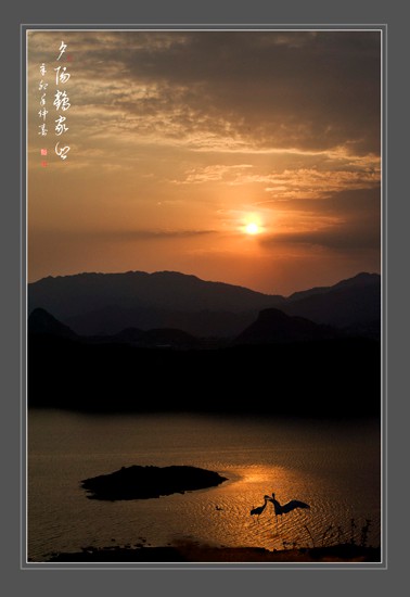 夕阳鹤家乡