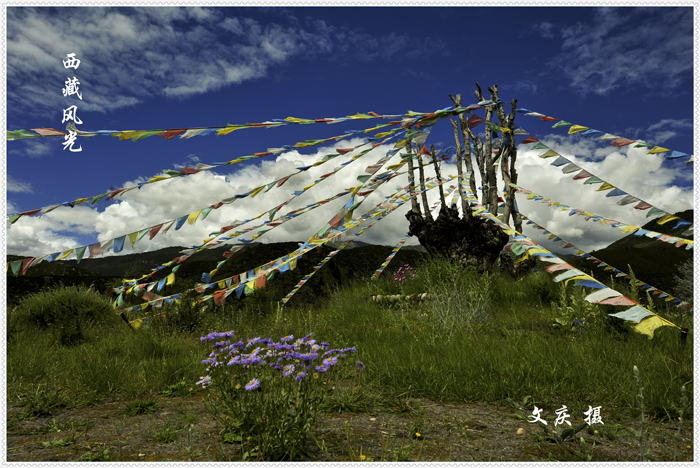 西藏风光