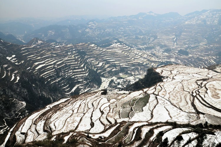 梯田瑞雪