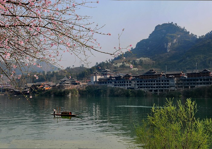 桃花盛开的地方