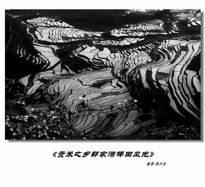 亚鱼郭家湾梯田风光