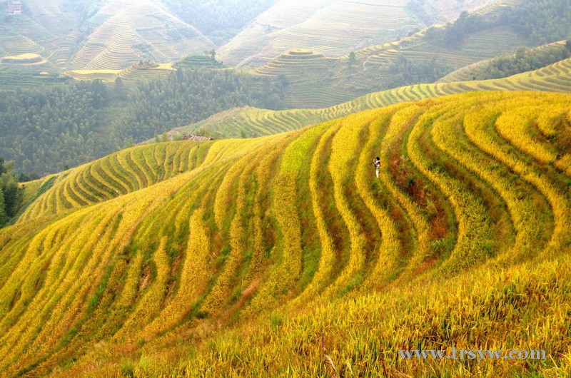 广西龙脊梯田