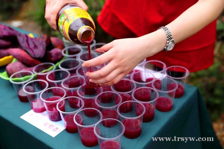 九龙洞乡村特色美食大赛花絮