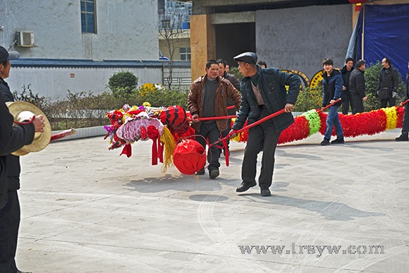 石阡毛龙之雄姿