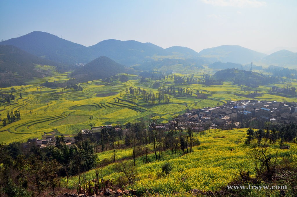 二月油菜花开时