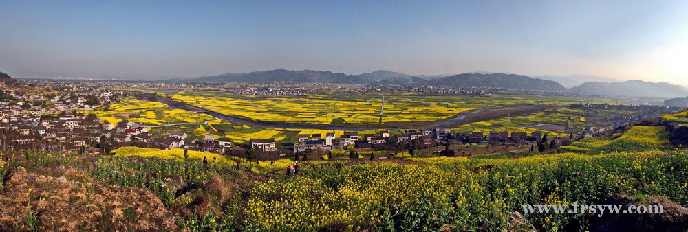 秀山清溪油菜花节