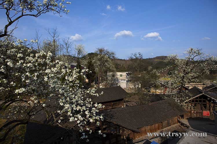 长坪干沙坪风景