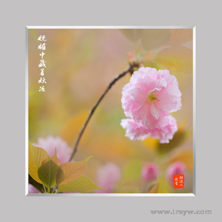 妩媚中藏着妖冶