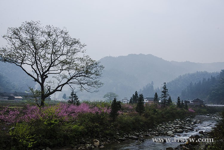 桃花源村摄