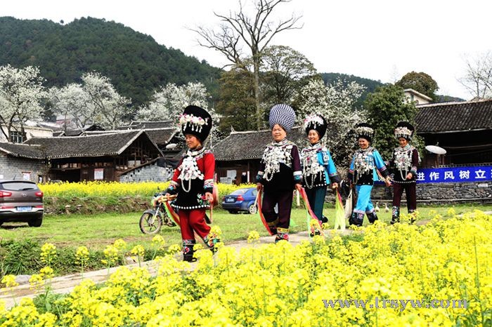 梨花山寨姑娘美