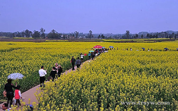 走进重庆，记录都市生活