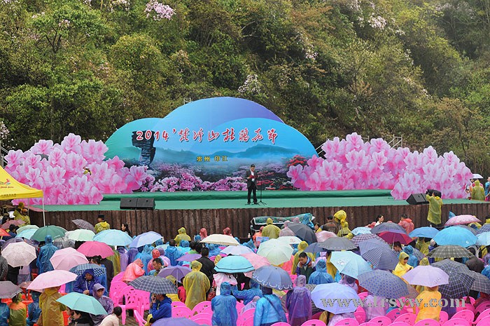 梵净山杜鹃花节