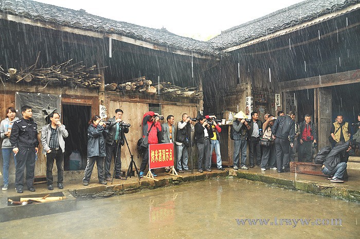 江口民和镇摄影采风活动絮花