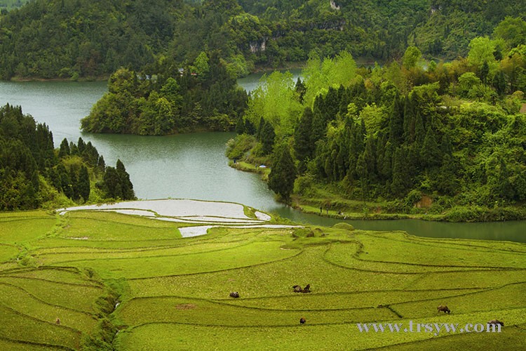 民和，地落风光
