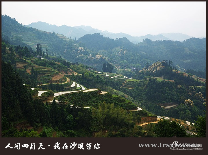 人间四月天我在沙坝等你