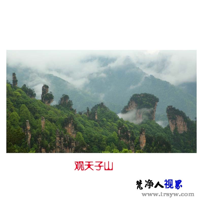 观天子山