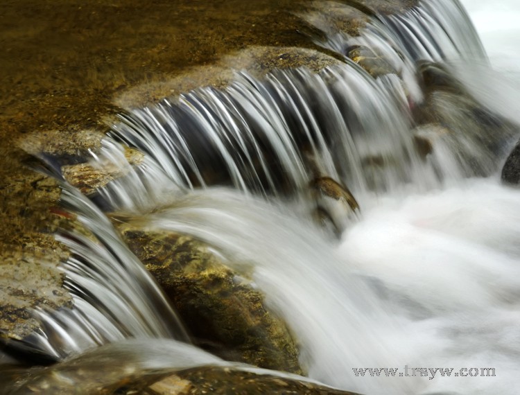 帘子七股水小景之二