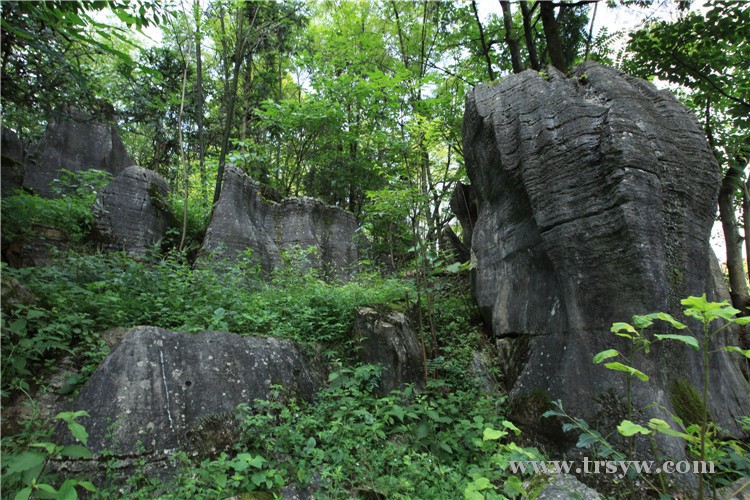 寻梦之旅·发现德江泉口大型石林