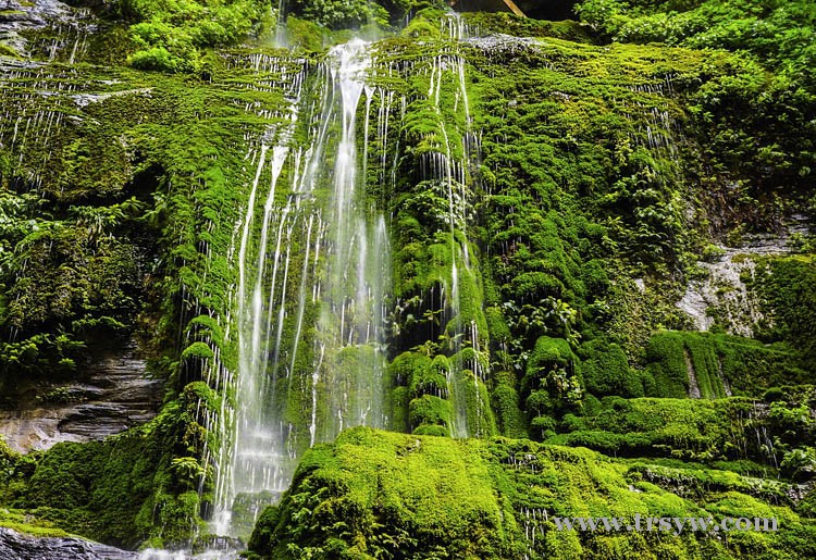 美丽的诉说七股水枯竭景象摄掠