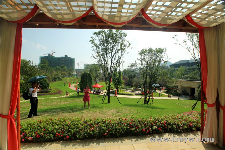 桐达山韵楼盘风光