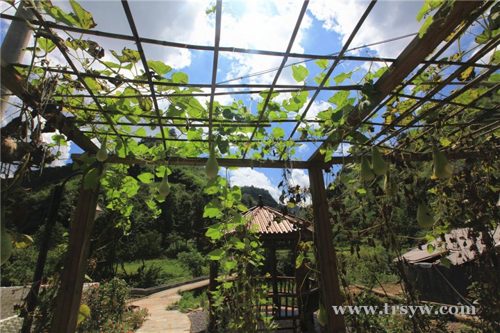 六龙山—休闲凉爽好地方