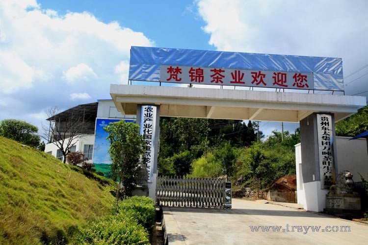 东太集团万吨茶叶基地