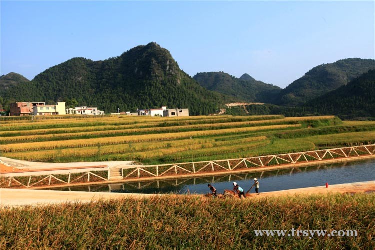 郭家湾田园风光