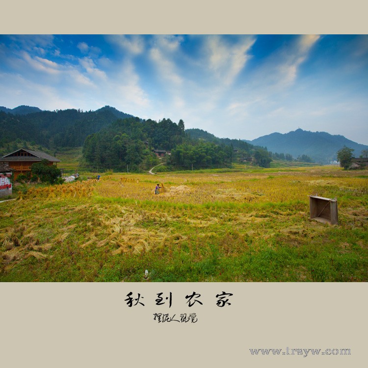 秋到农家