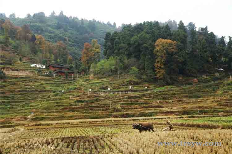 茶园山古建筑群