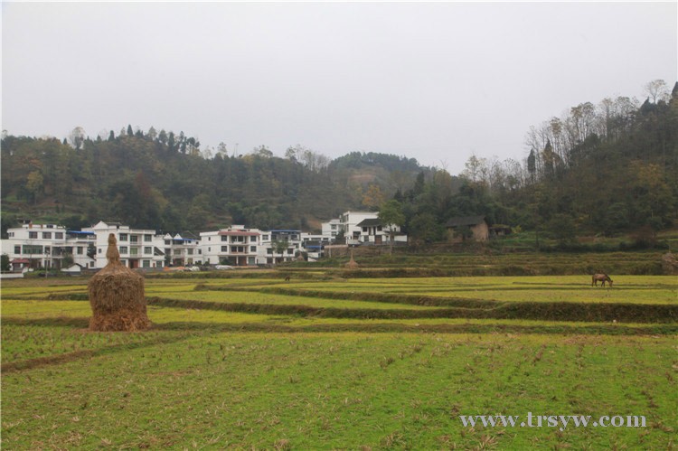 玉屏新店老寨新农村