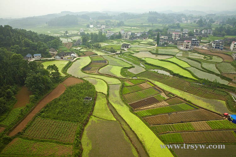 锦秀田园