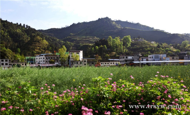 六龙山上好风光