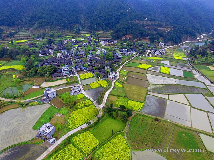 美丽田园