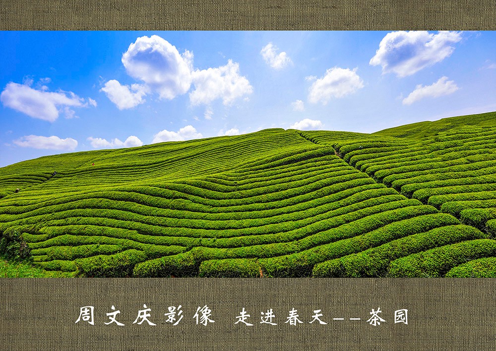 品春, 我们摄影去！